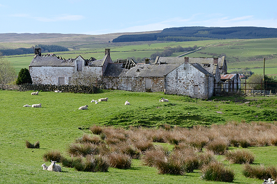 Farm Steading Development