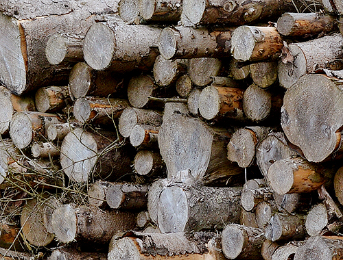 Logs