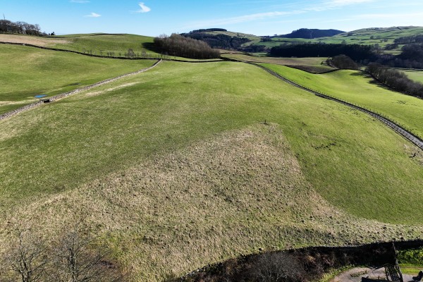 Dinning Farmland