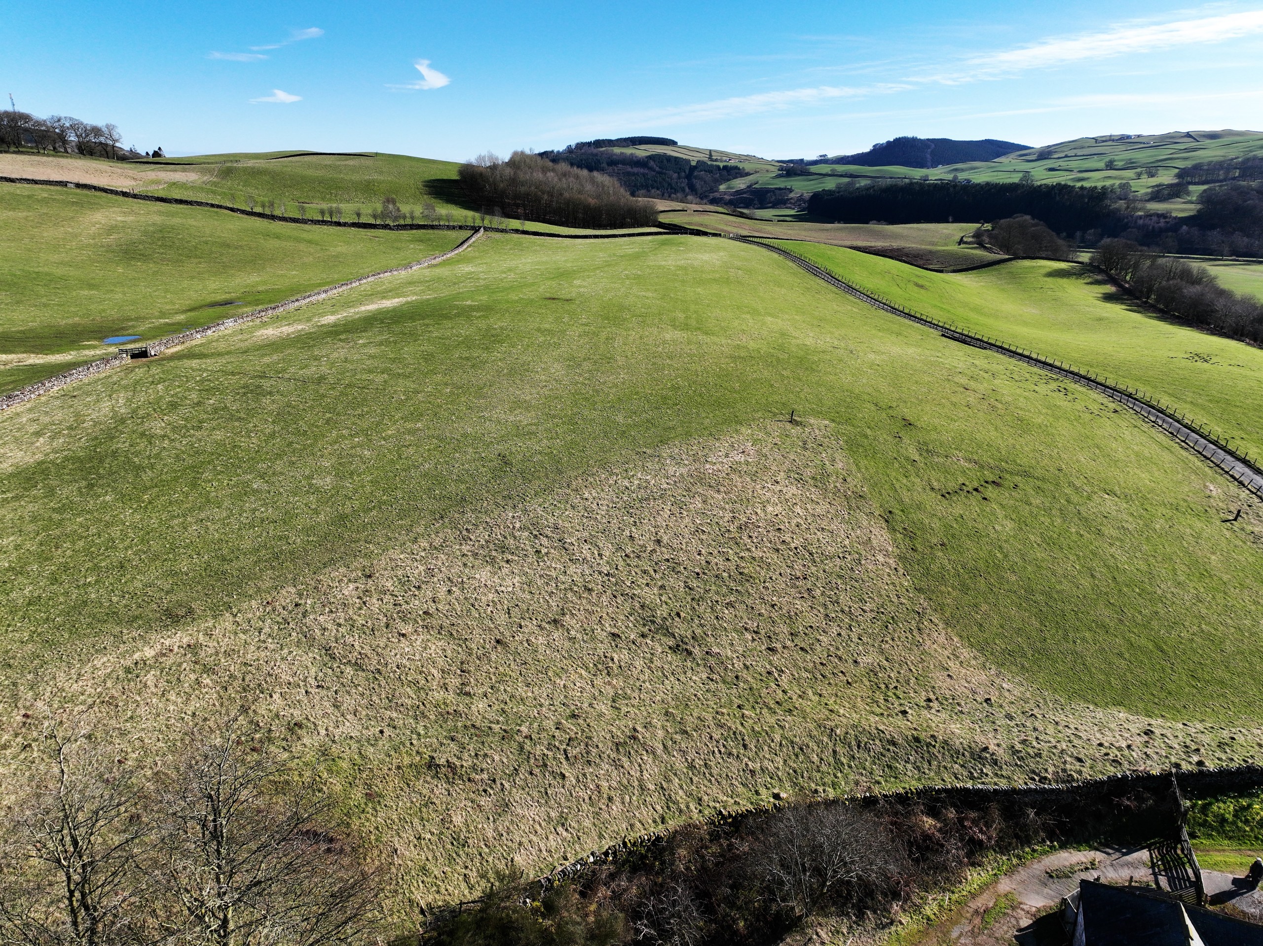 Dinning Farmland