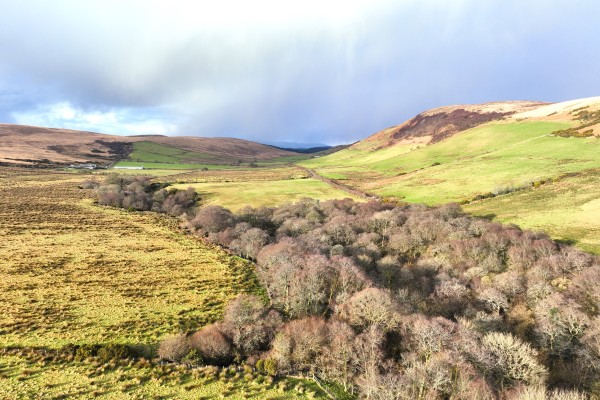 Bute Sporting Lease