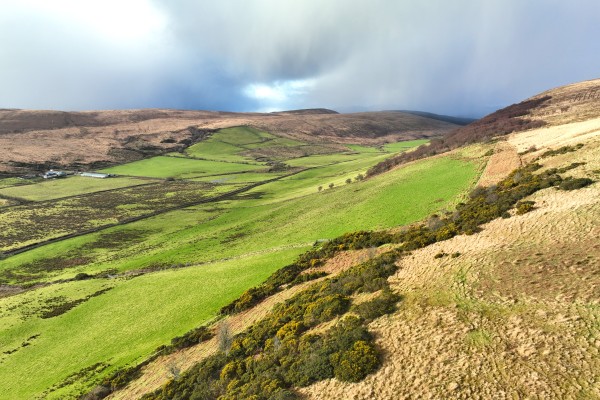 Bute Sporting Lease