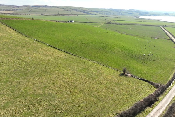 Lower Ettrick Farm