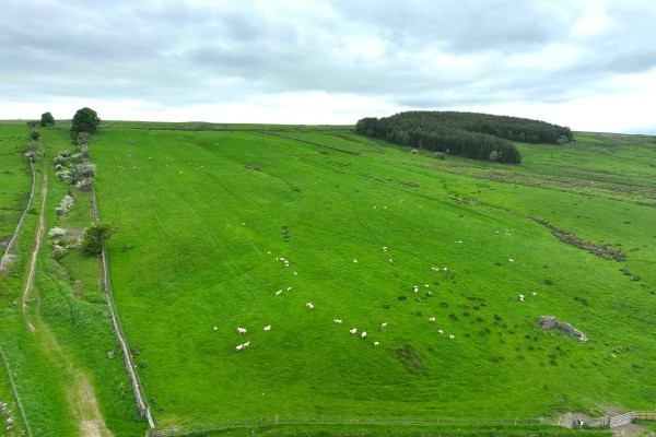 Folly Field Sanquhar