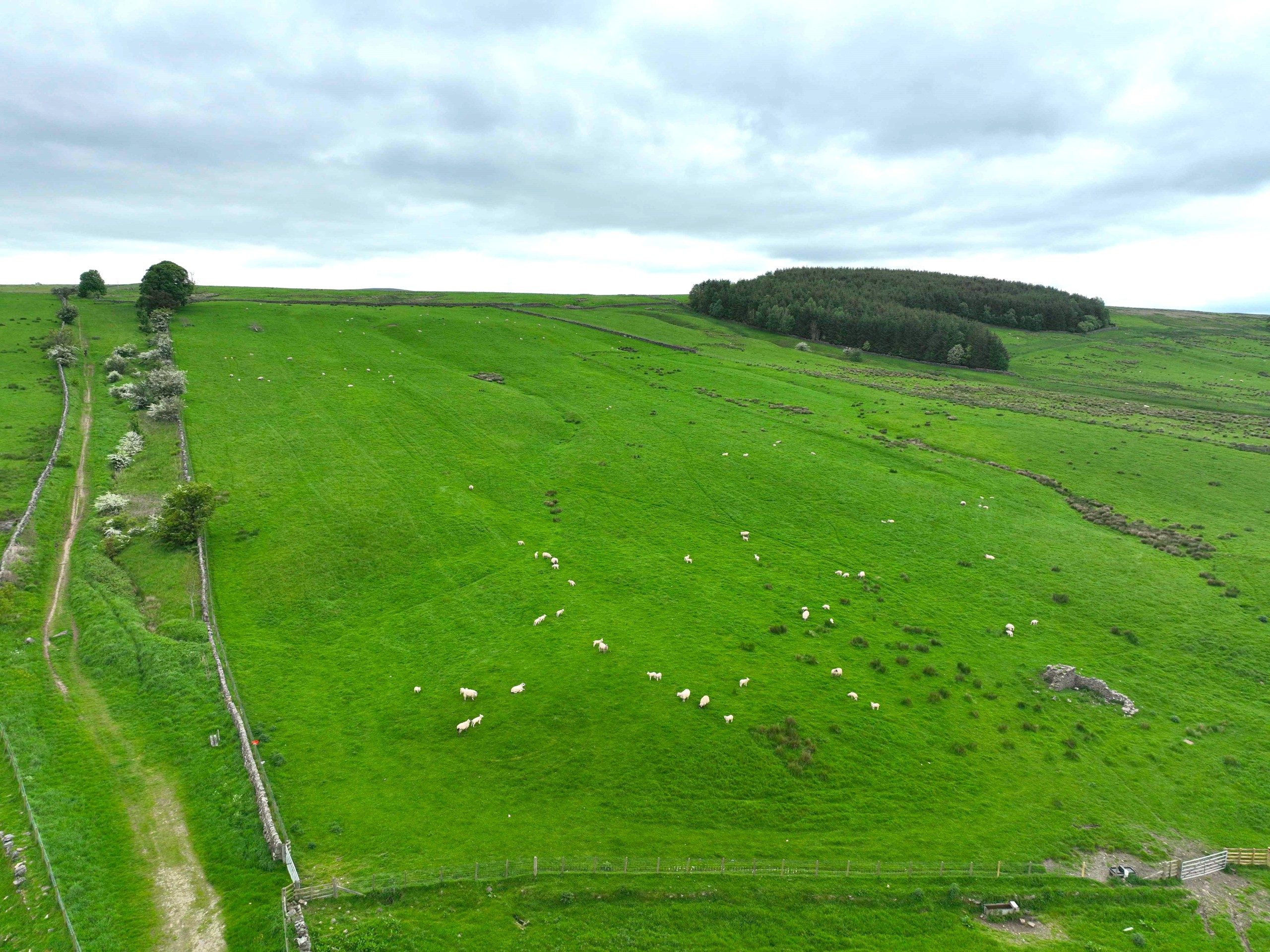 Folly Field Sanquhar