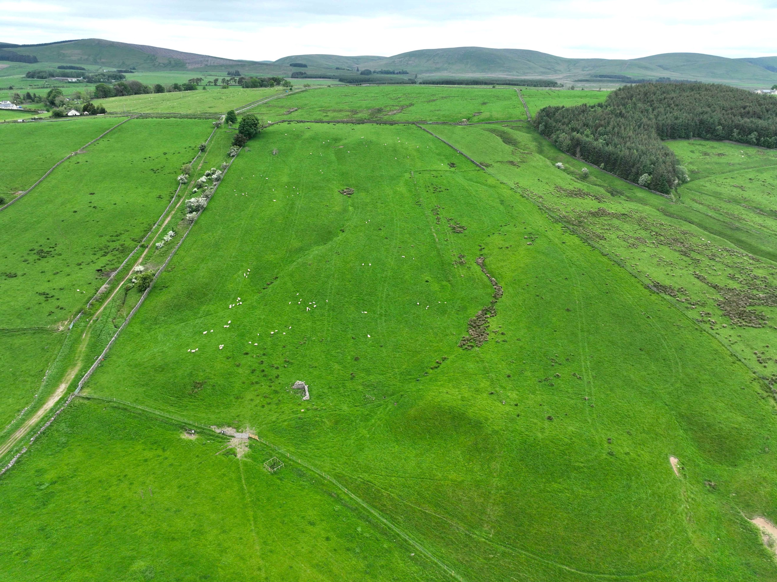 Folly Field Sanquhar