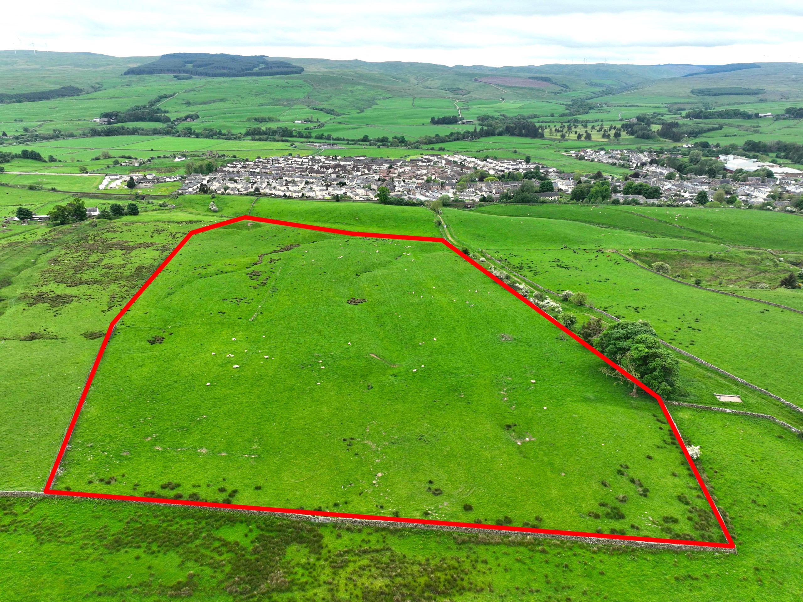 Folly Field Sanquhar