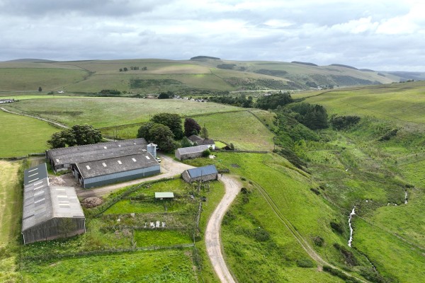 Shoestanes