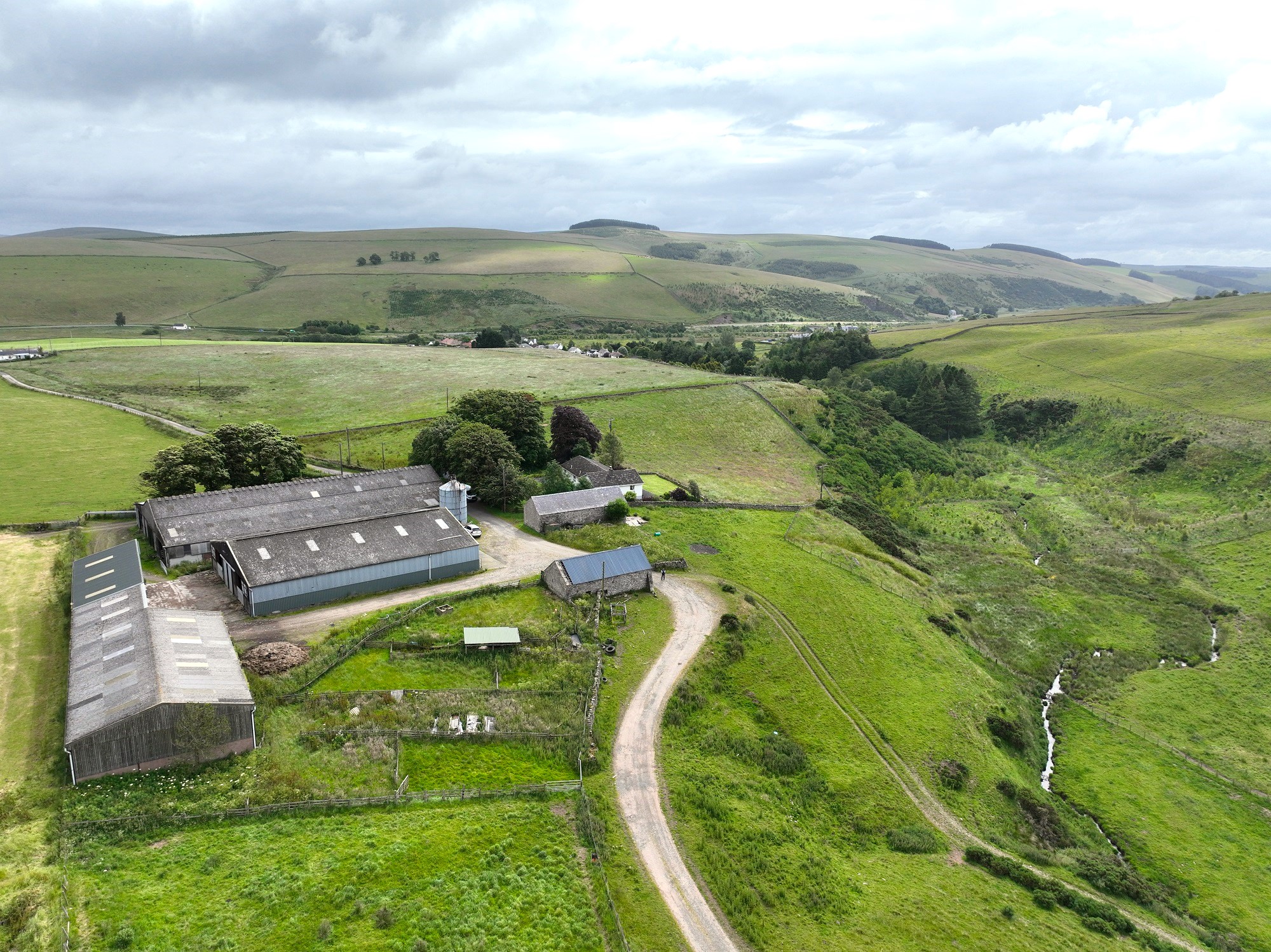 Shoestanes