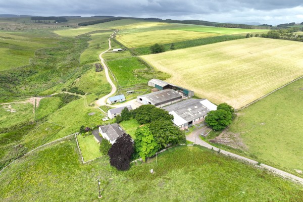 Shoestanes