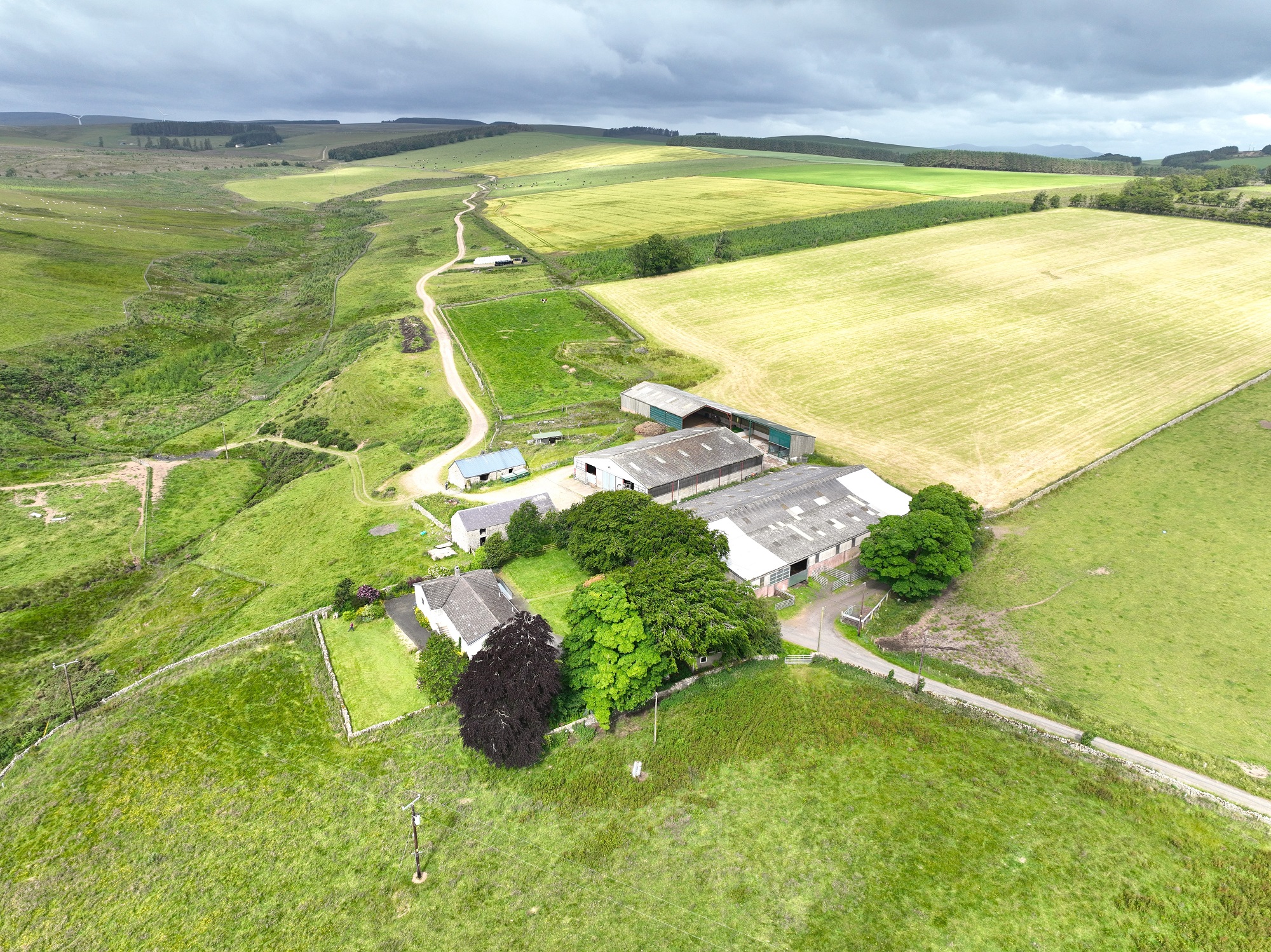 Shoestanes