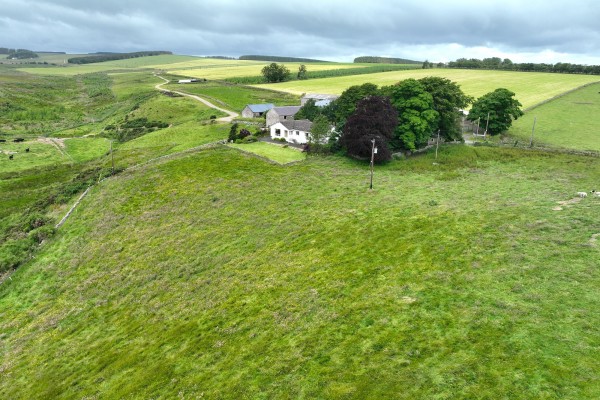 Shoestanes