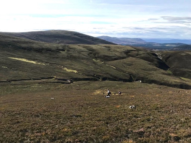 Grouse Shoot Licensing Scheme