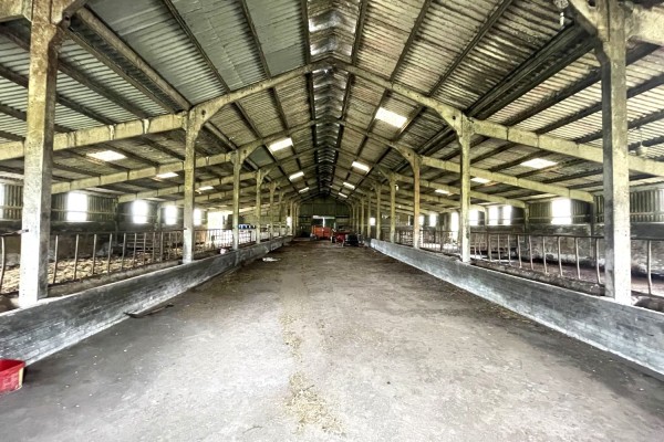 Shoestanes Shed 1
