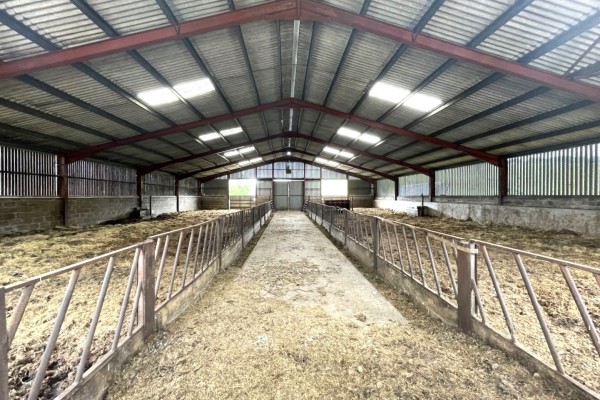 Shoestanes Shed 2