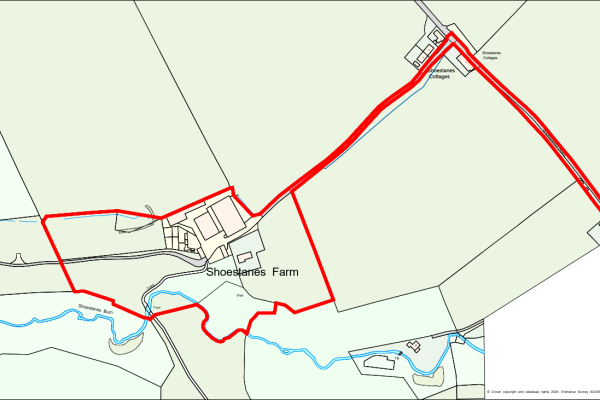 Shoestanes Sale Plan
