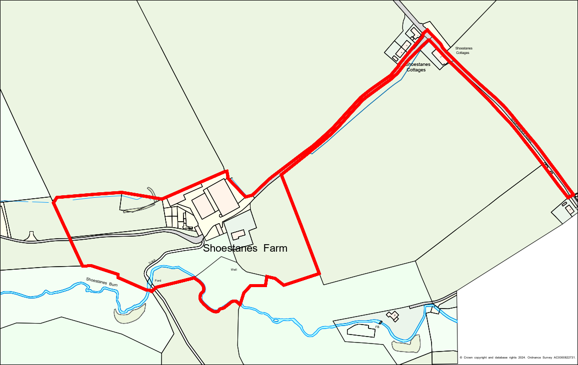 Shoestanes Sale Plan