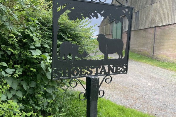 Shoestanes