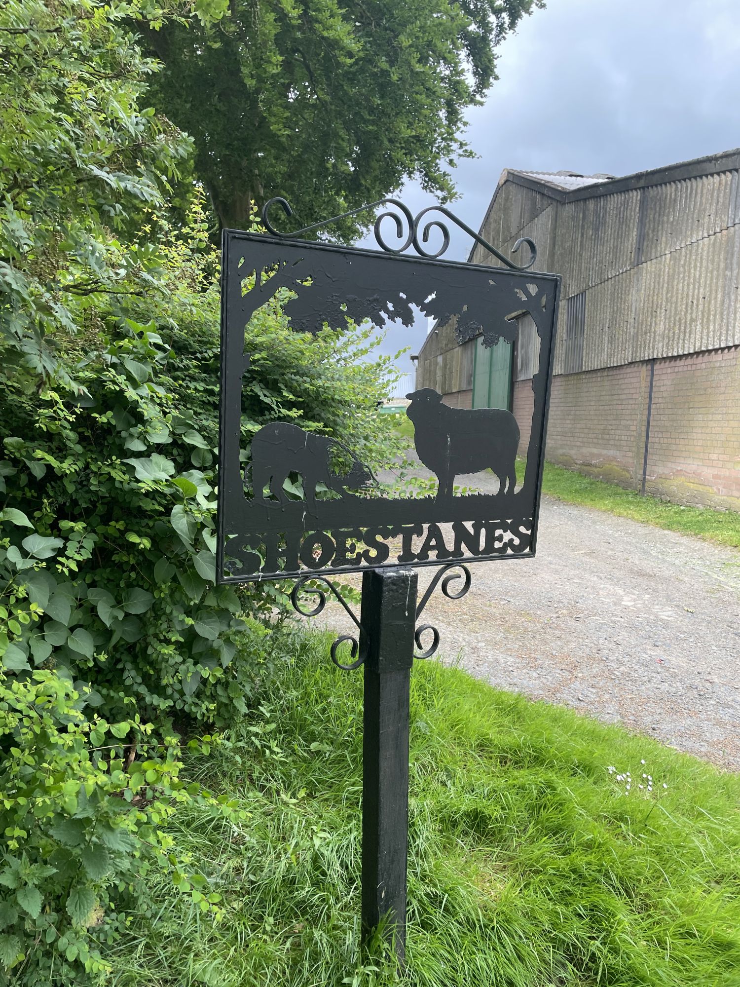 Shoestanes