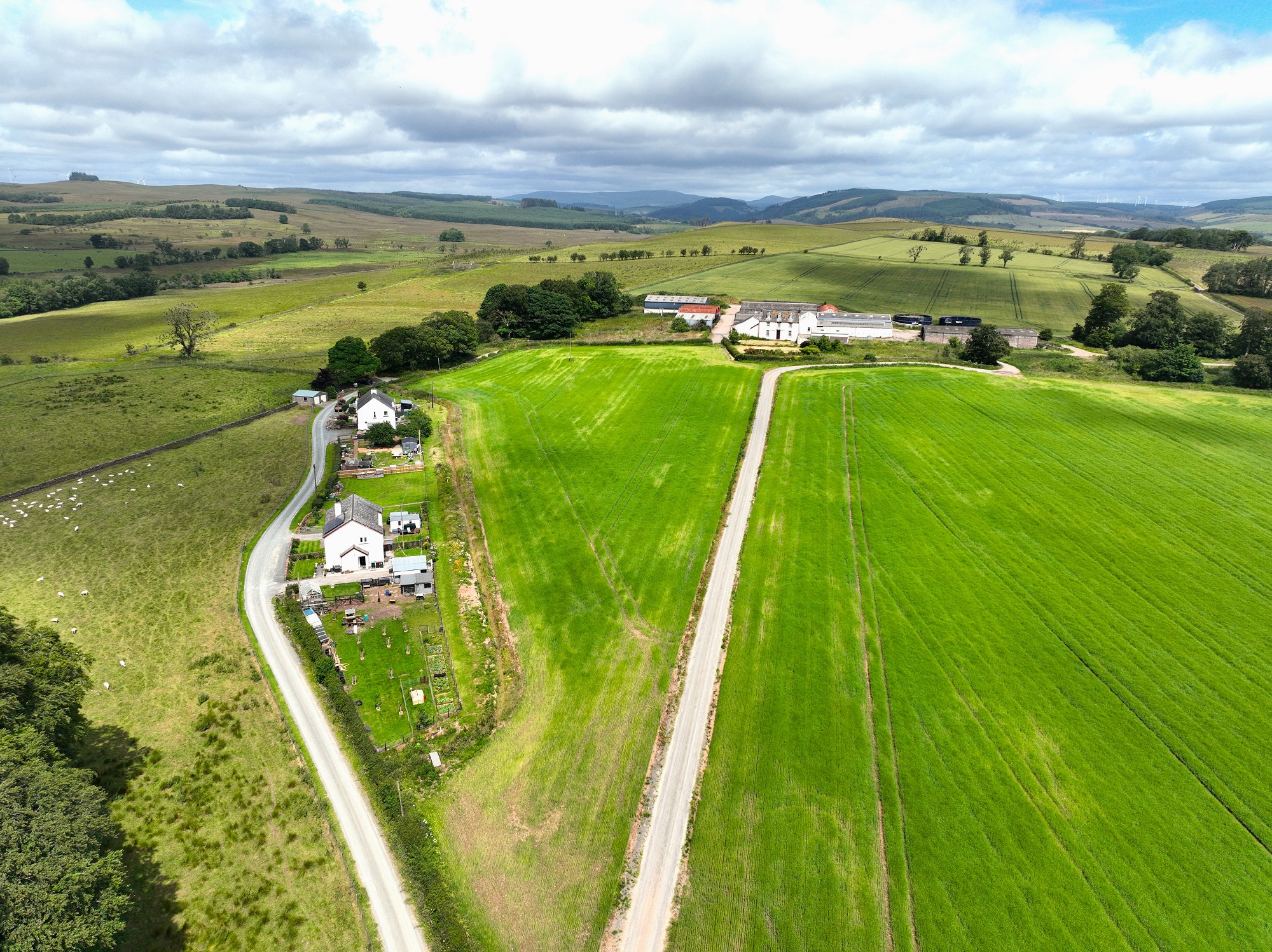 Annefield