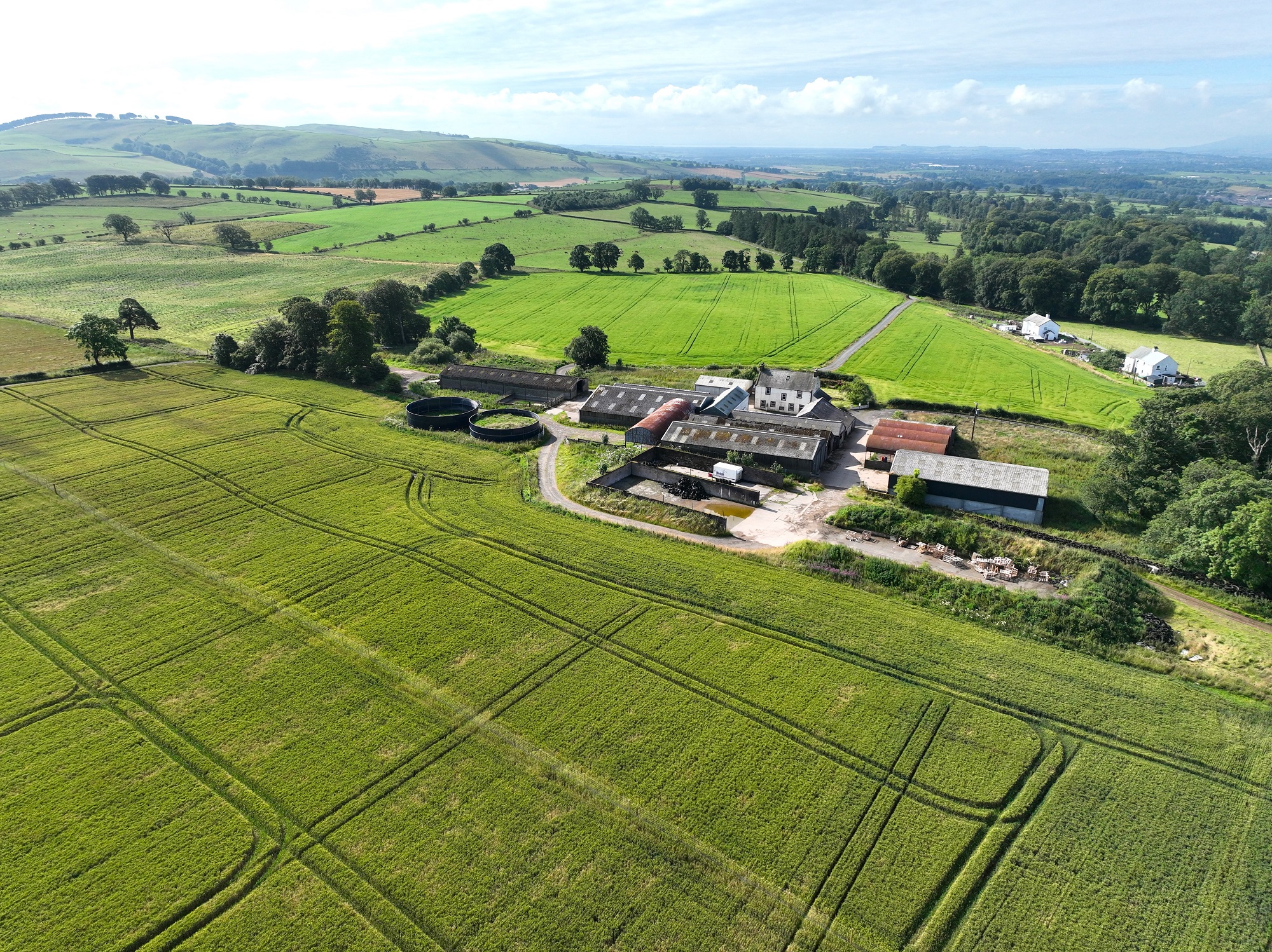 Annefield