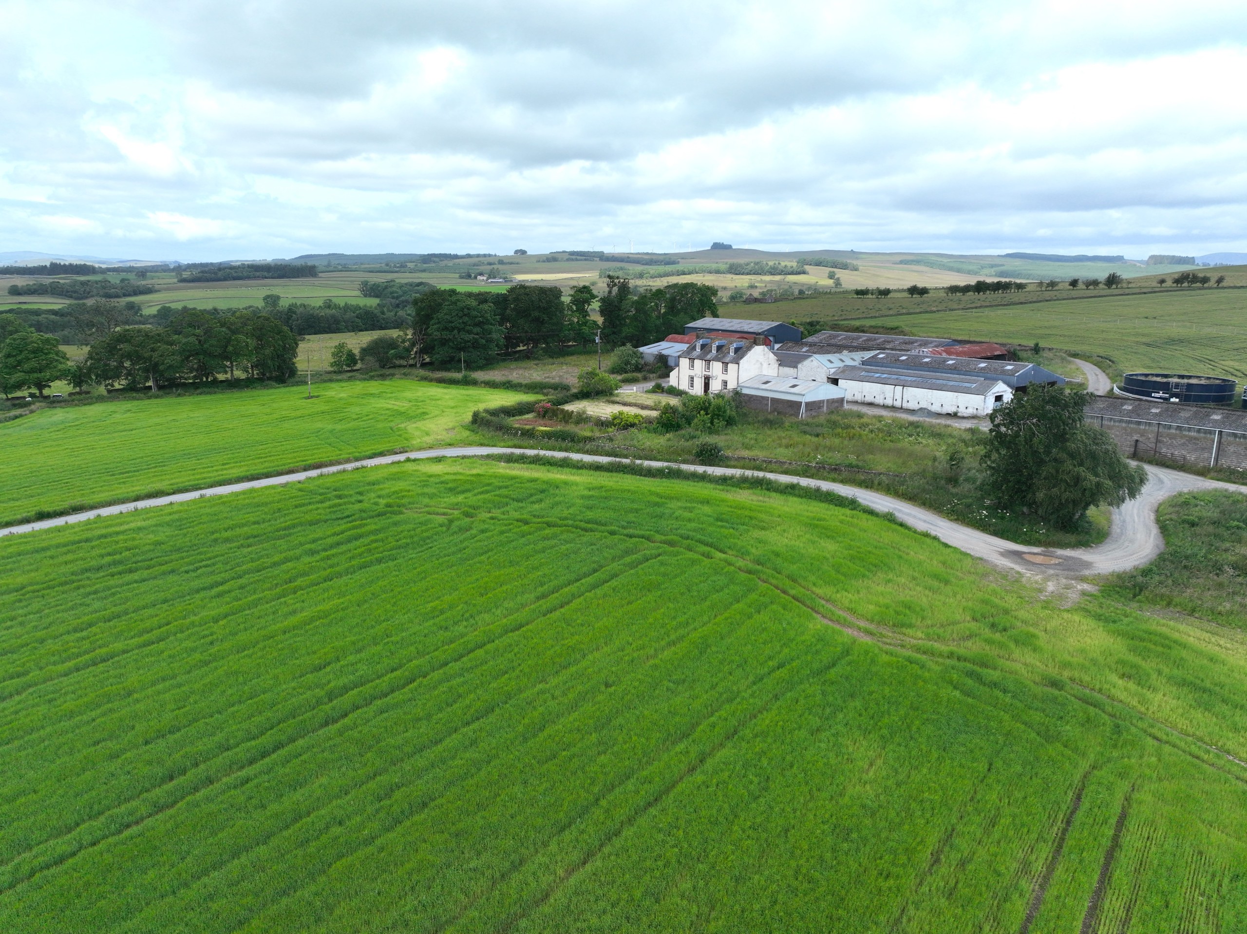 Annefield