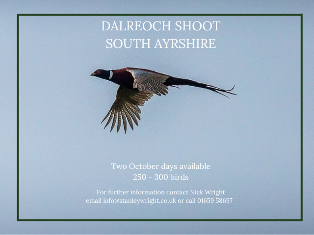 Dalreoch Shoot