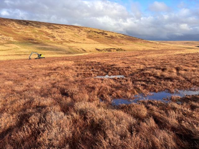 Peatland restoration