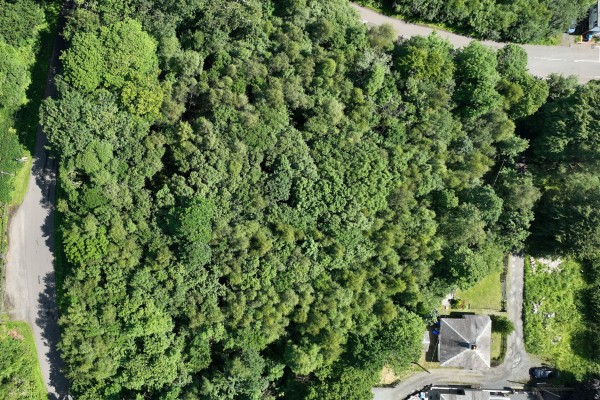 Aerial photo